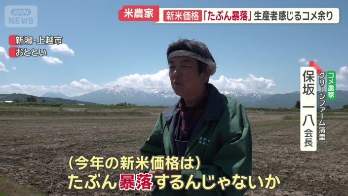 「たぶん暴落するんじゃないか」