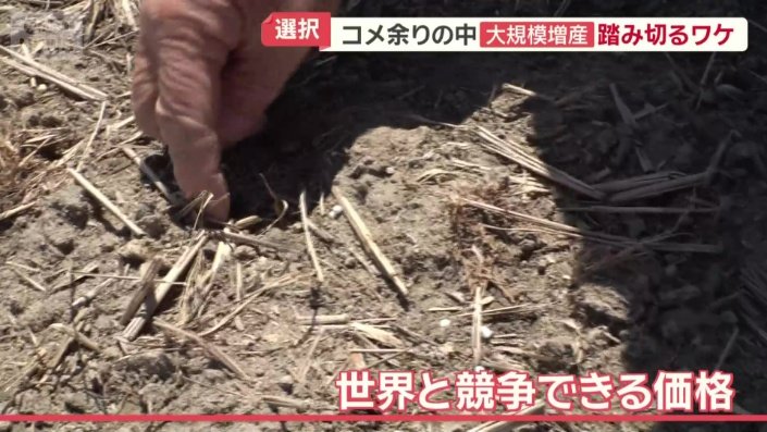 世界と競争できる価格を実現へ