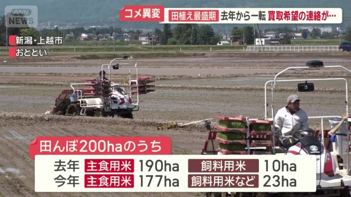 コメ余りが続いている状況