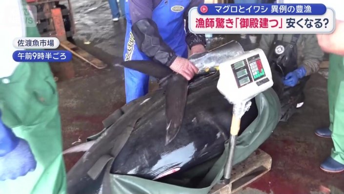 一番の大物