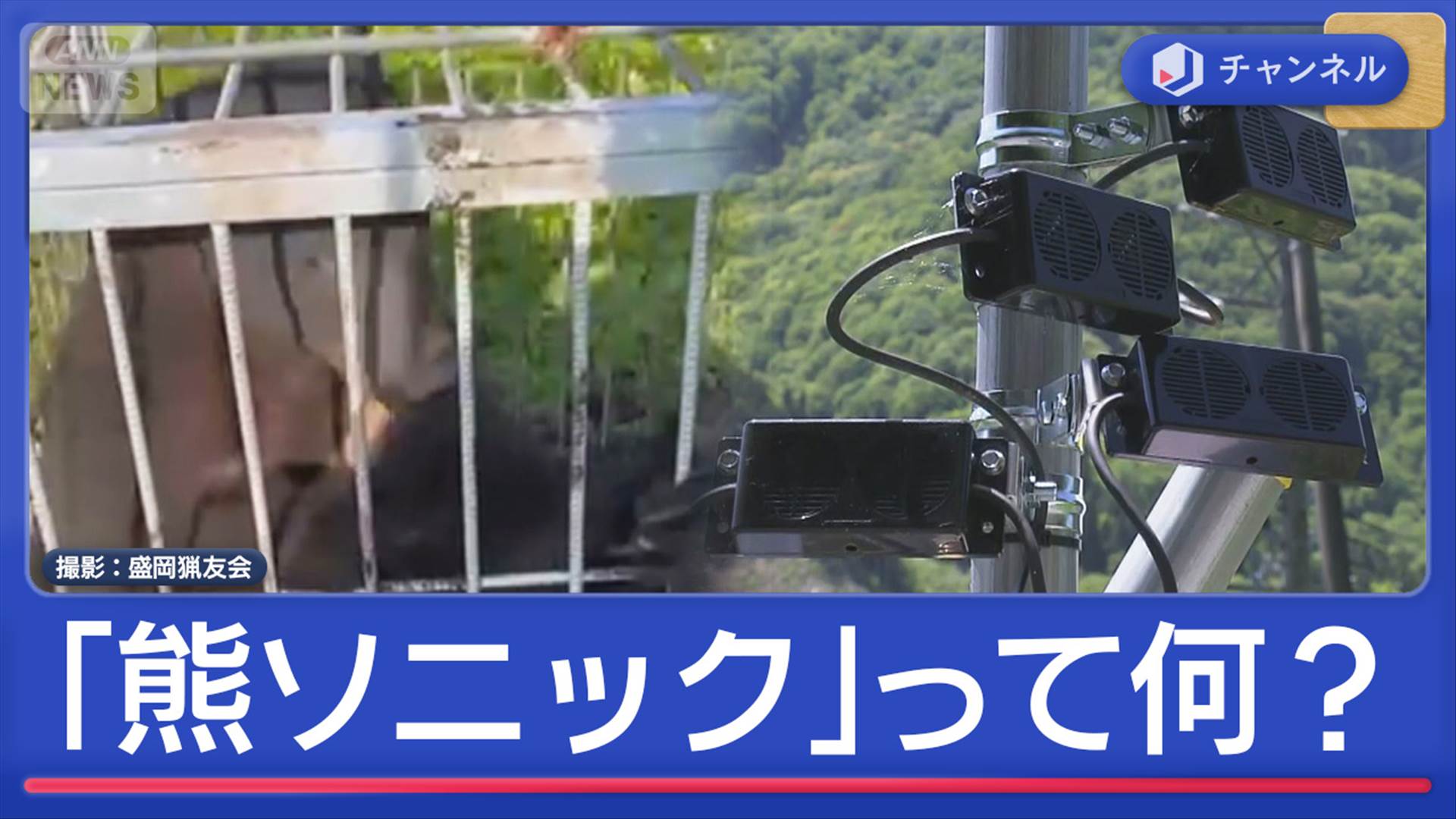 画像まとめ】“音のバリアー”でクマが逃げる？新対策「熊ソニック」の実力