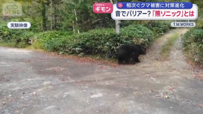機械音を聞き、逃げるように下がるクマ