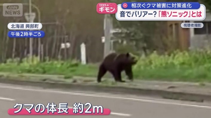 この後、道路脇の茂みへと姿を消した