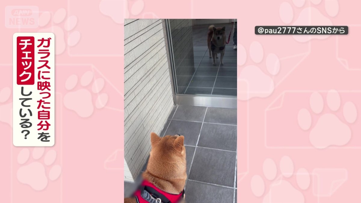 ガラスに映った自分をチェックしてる？
