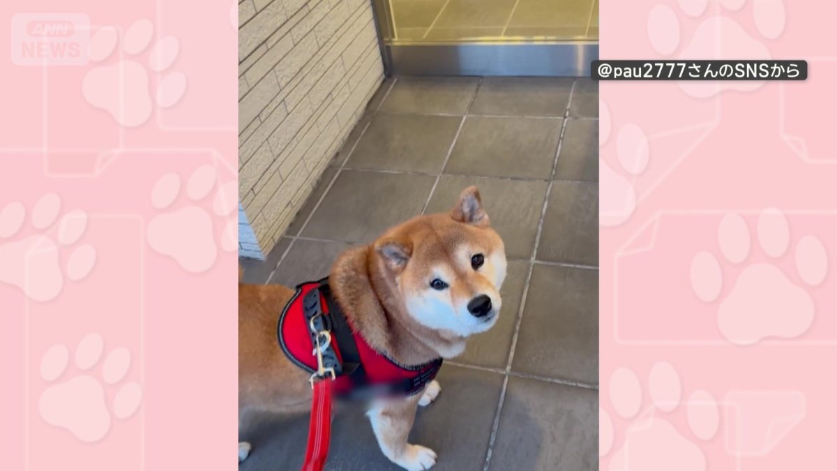 振り返ると悲しげな表情