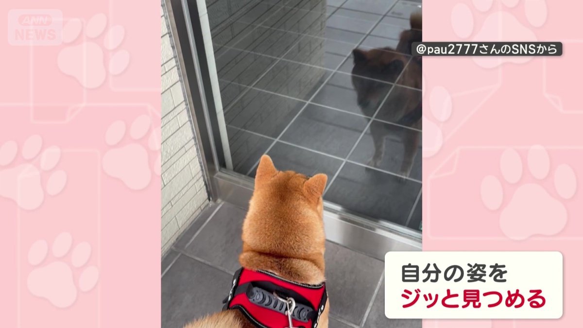 反射した自分を見つめる