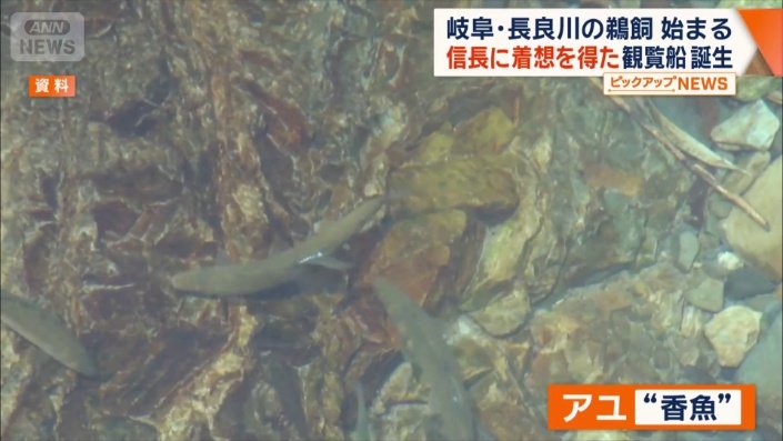 アユ