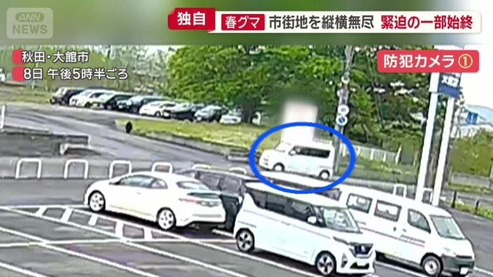 駐車場へ入っていく1台の白い車