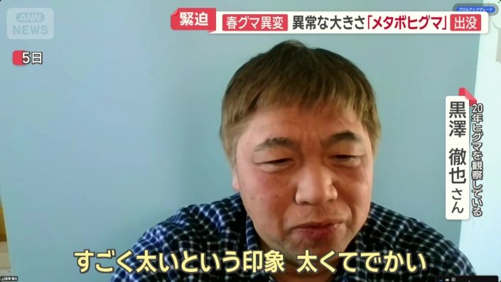 「“メタボヒグマ”と言っている」