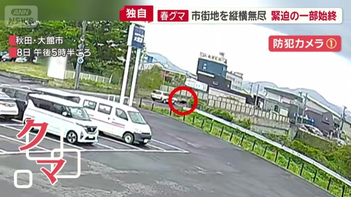 車の往来が多い奥の道路に…