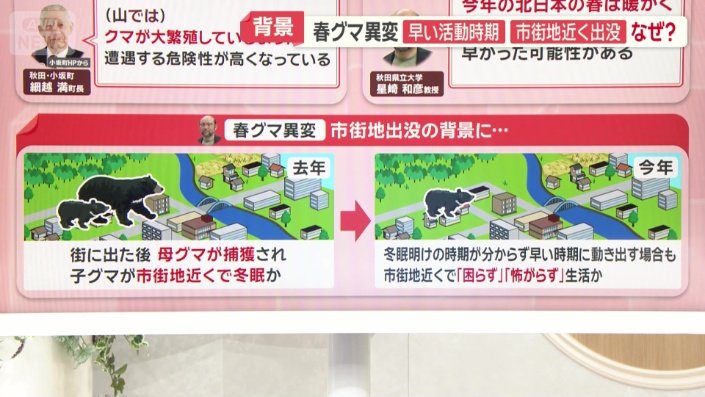 春グマが市街地に出没する背景