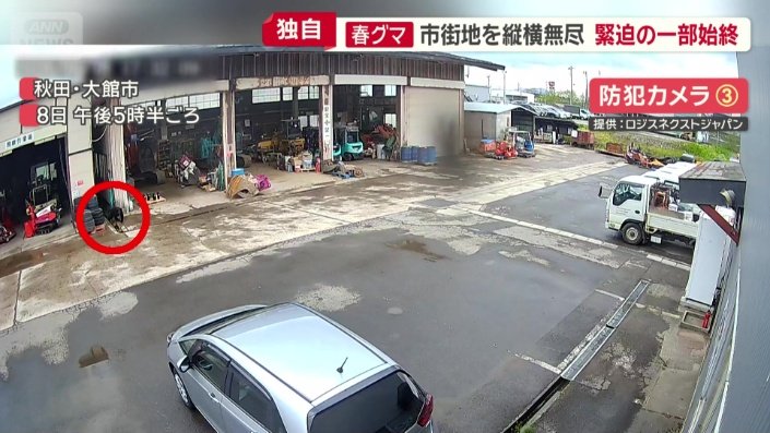 駐車場にも…