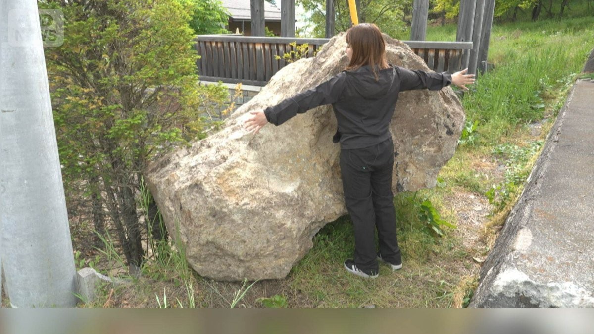 松くい虫の被害拡大で巨大な岩が落下　住宅の塀やガレージを破壊　長野・松本市