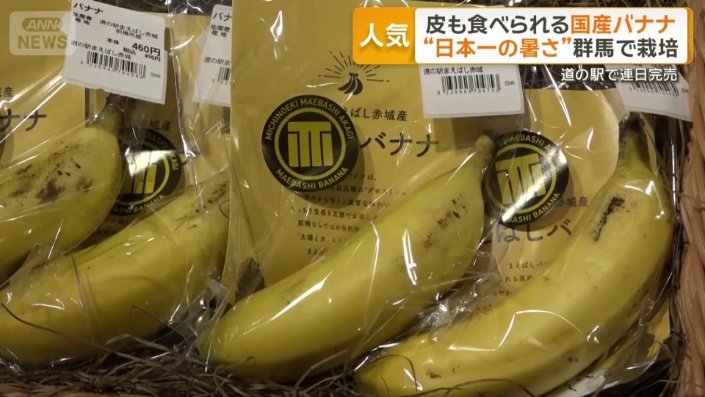 価格は1本440円
