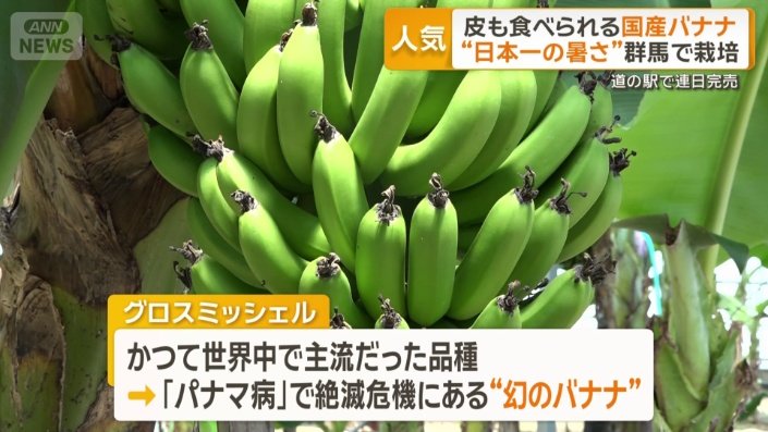 敷地内のハウスで栽培