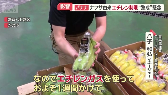 「エチレンガスを使って食べられる状態に」