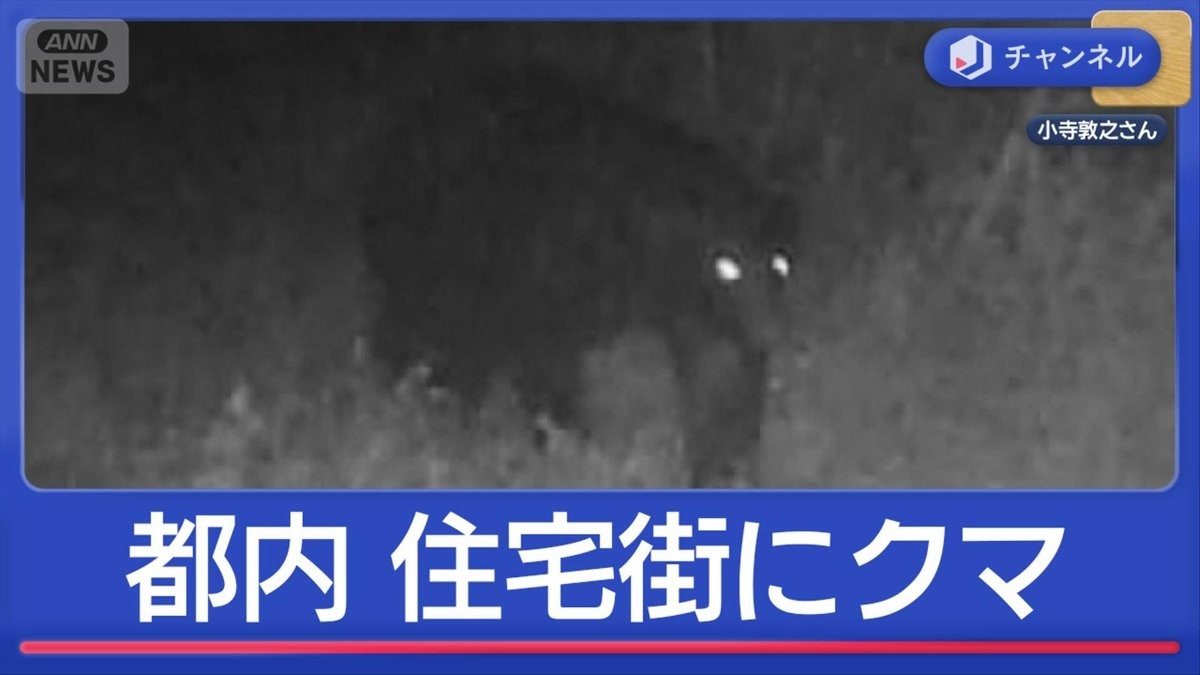 「まさか」都内住宅街にクマ　東京でどこまで拡大？