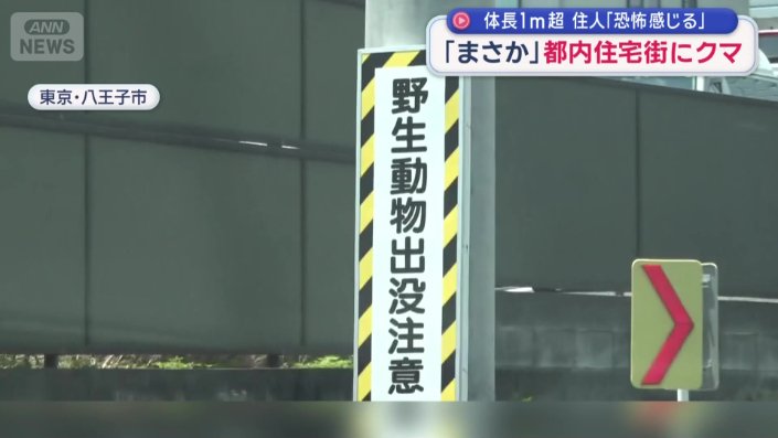 「野生動物出没注意」の看板