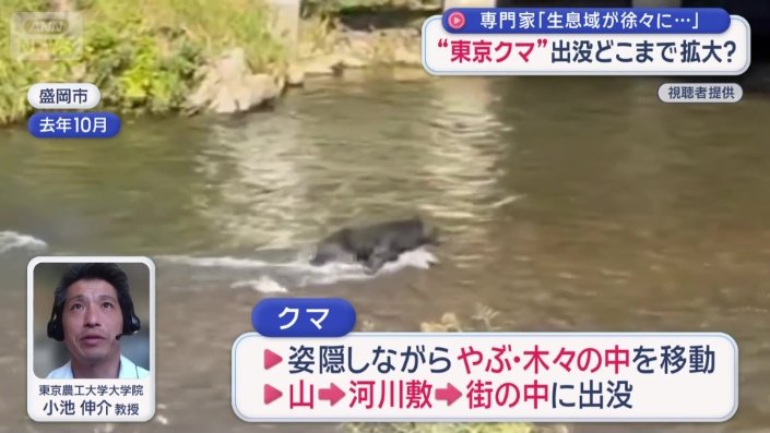 クマの出没は都内のどこまで広がるのか?
