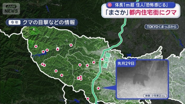 今年のクマの目撃などの情報