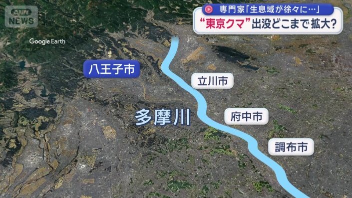 多摩川の河川敷を通ってクマが移動する可能性も