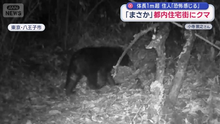 東京・八王子市の住宅地近くで撮影された映像