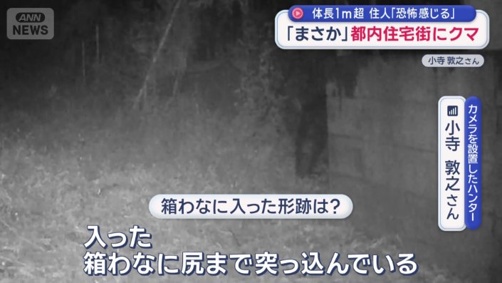 「箱わなに尻まで突っ込んでいる」