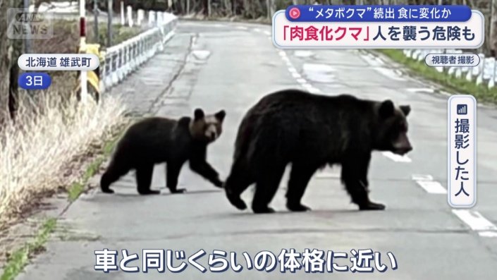 道路を横切る姿が…