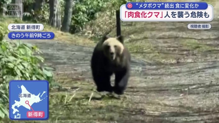 一度姿を消した直後…