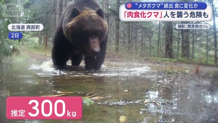 推定300キロ級