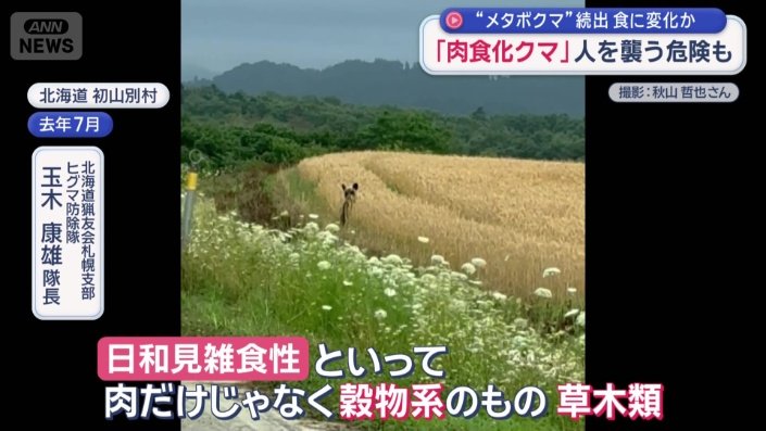 クマは雑食
