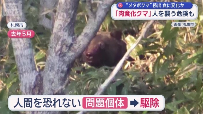 ブラフチャージ=威嚇行動がみられた