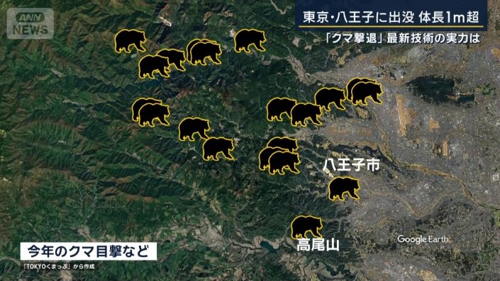 クマの目撃情報