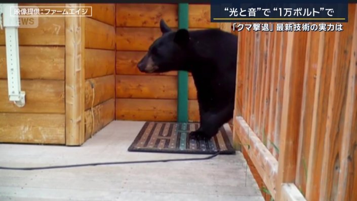 電気マット