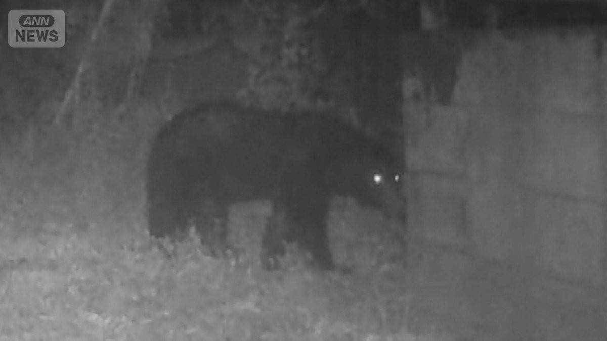 東京・八王子に体長1m超クマ出没　人の生活エリア目と鼻の先　都内での目撃は今年21件