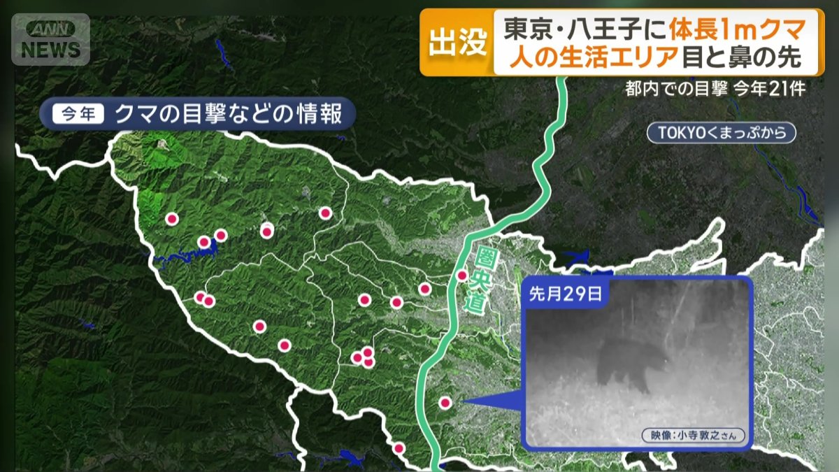今年のクマなど目撃情報