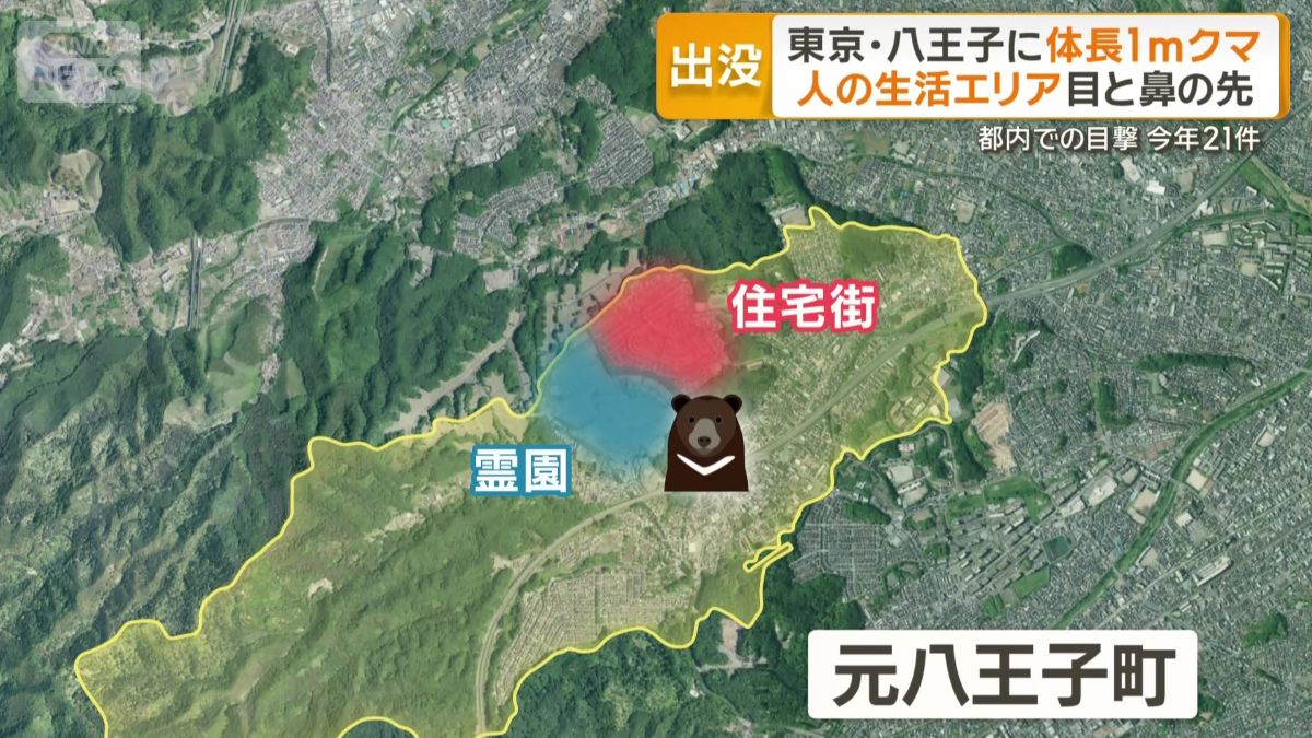 クマが現れたのは八王子市の西部・元八王子町
