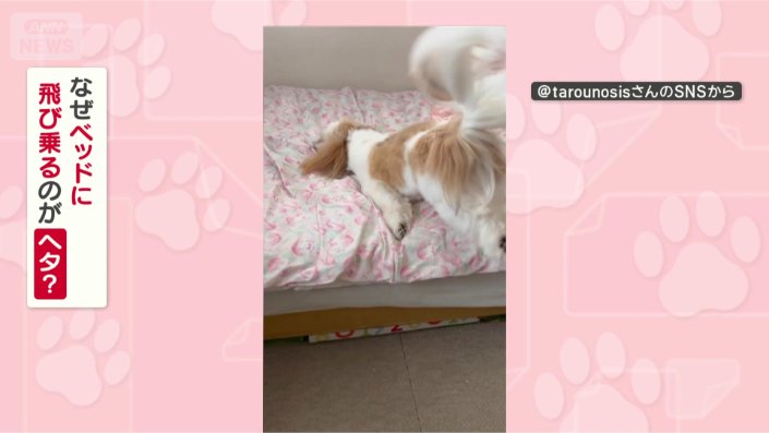 なぜヘタなの?