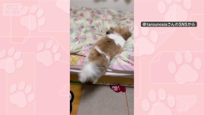 ベッドにダイブ!!