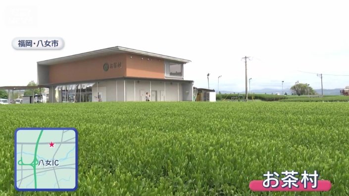 お茶村