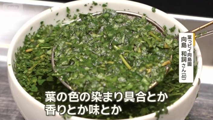 粉にする前の抹茶