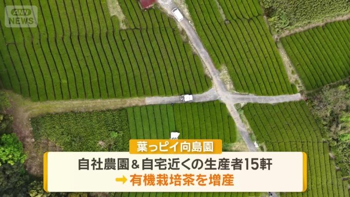 葉っピイ向島園