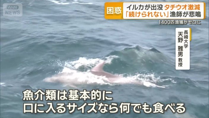 「（因果関係は）あると思う」