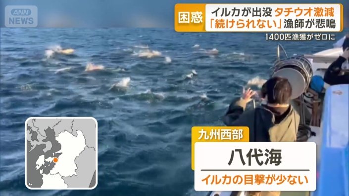 群れになって泳ぐイルカ