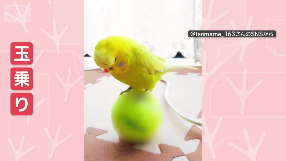 別の日も…