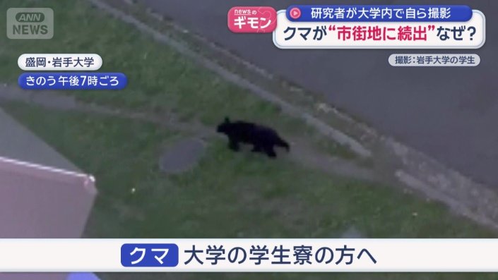 辺りが暗くなると…