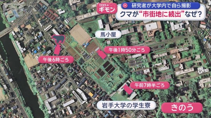 クマが映像に映ったのは3カ所