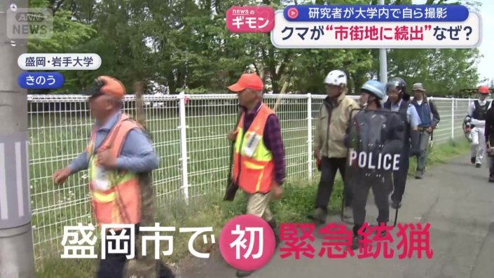 盛岡市では初めてとなる緊急銃猟の実施が決定