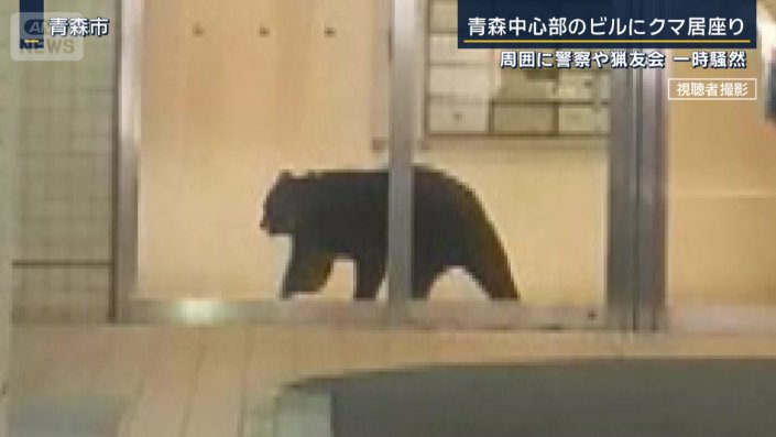 商業ビルに侵入したクマ