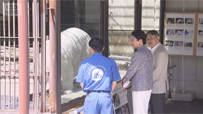ホッキョクグマの「ピース」を視察